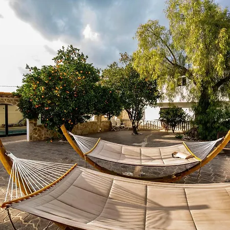 Beautiful Open 3 Bed *