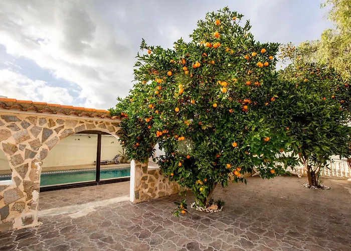 Beautiful Open 3 Bed El Albir